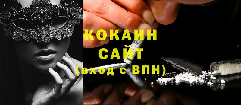 как найти   Мурино  COCAIN Боливия 